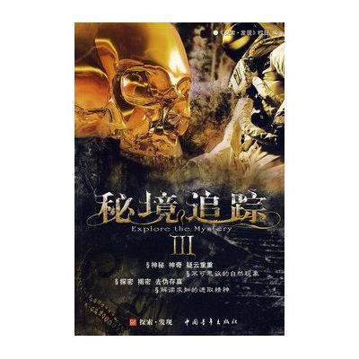 紫色魔法师守城中文版