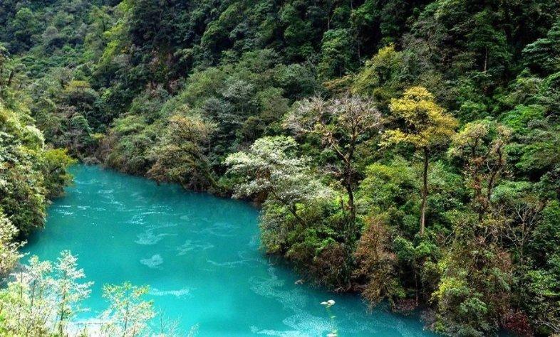 逃离阴森的岛屿