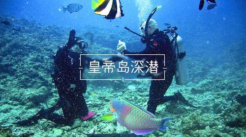 两会大家谈｜山东省人大代表王成成：打造“农文旅融合”特色产业 写好乡村振兴文章