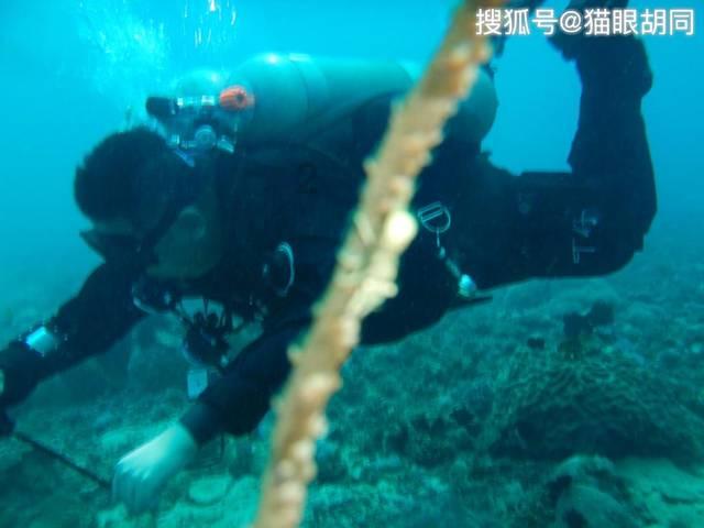 燃烧吧大脑免广告最新版