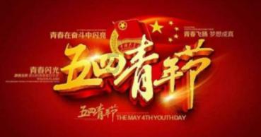 狗狗物品记忆卡