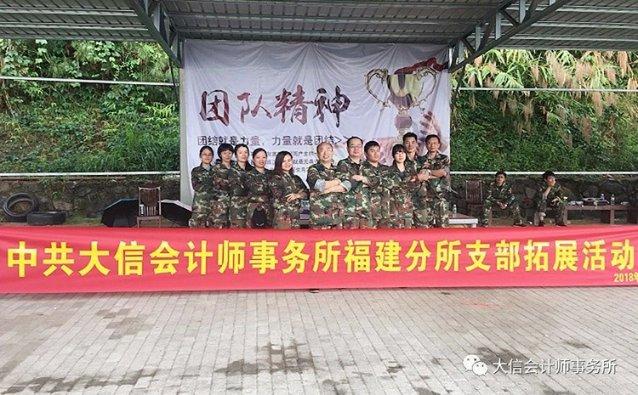 进击的飞机